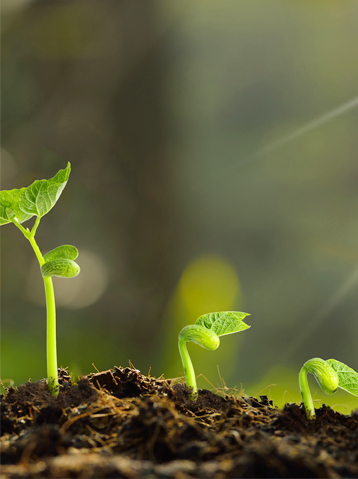 �㽭���x�������P���Ʒ���޹�˾